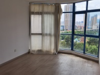 3室2廳1陽(yáng)臺(tái) 白龍新區(qū)客廳