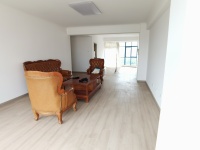 3室2廳1陽(yáng)臺(tái) 白龍新區(qū)客廳