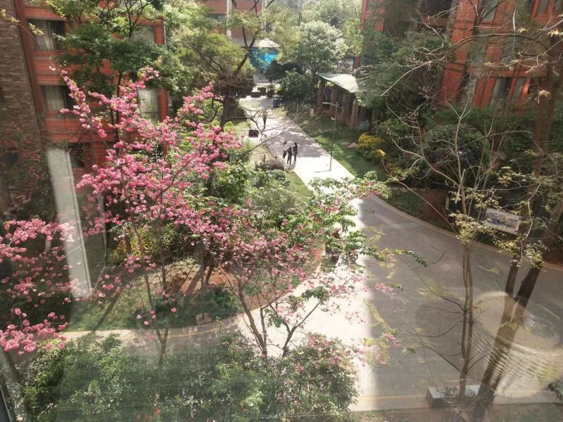 3室2廳2陽臺(tái) 第三城紫曼園其他