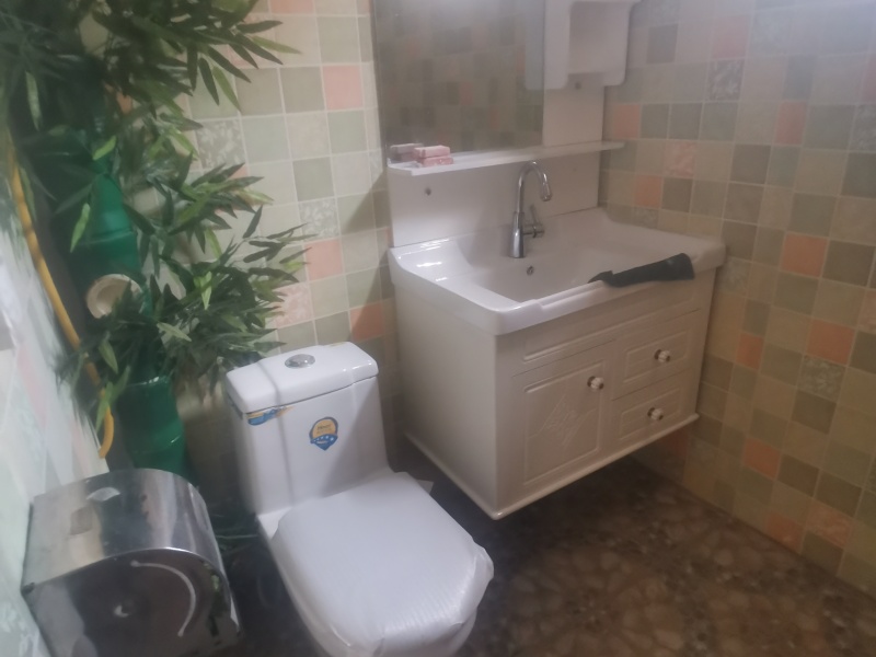 3室2廳2陽臺(tái) 糧油運(yùn)輸公司宿舍（學(xué)府路）衛(wèi)生間