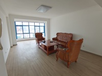 3室2廳1陽(yáng)臺(tái) 白龍新區(qū)客廳