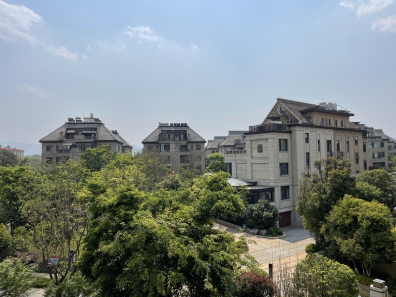 4室2廳3陽(yáng)臺(tái) 綠地海珀瀾庭別墅客廳