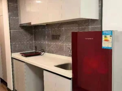 1室1廳 魅力之城六期