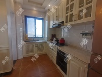 4室2廳2陽臺 新亞洲星辰園廚房