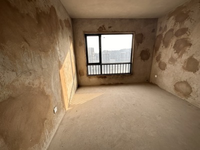 4室2廳4陽臺 中建龍熙壹號D區(qū)