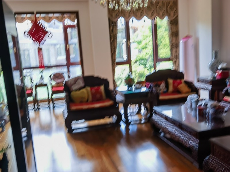 5室2廳4陽臺 清水佳湖雅居別墅客廳