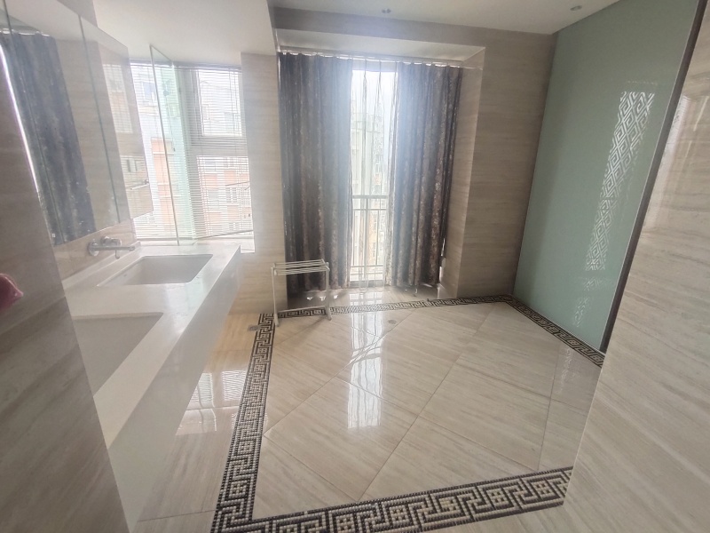 5室2廳2陽臺 中央麗城其他