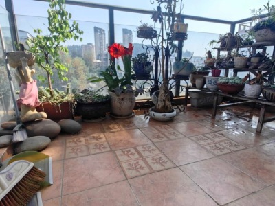 4室2廳2陽(yáng)臺(tái) 花香十里書(shū)房