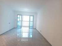 3室2廳2陽(yáng)臺(tái) 碧桂園北城映象雨水苑客廳