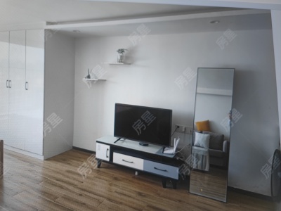 2室2廳 藝城PGC紫金中心