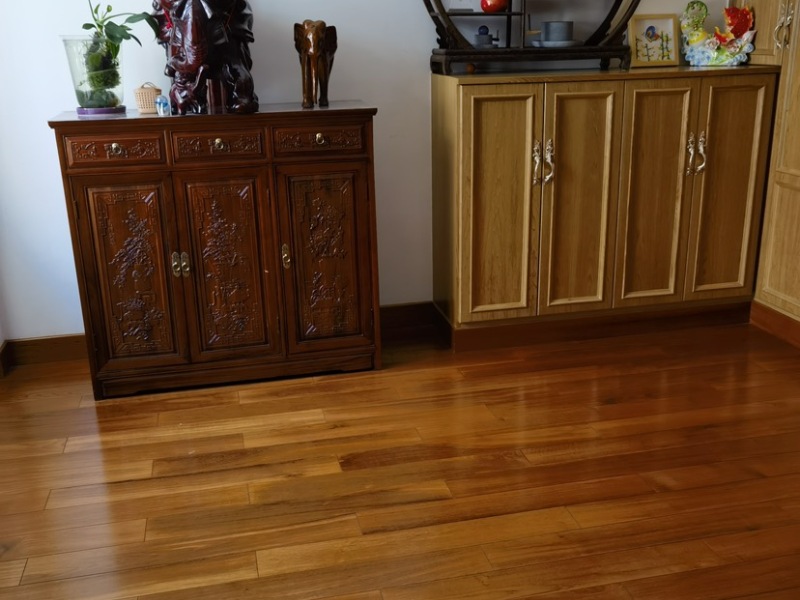 5室2廳4陽臺 清水佳湖雅居別墅門廳