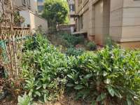 5室2廳2陽(yáng)臺(tái) 綠地海珀瀾庭別墅客廳