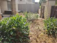 5室2廳2陽(yáng)臺(tái) 綠地海珀瀾庭別墅客廳