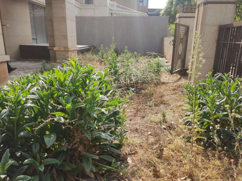 5室2廳2陽(yáng)臺(tái) 綠地海珀瀾庭別墅客廳