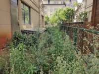 5室2廳2陽(yáng)臺(tái) 綠地海珀瀾庭別墅餐廳