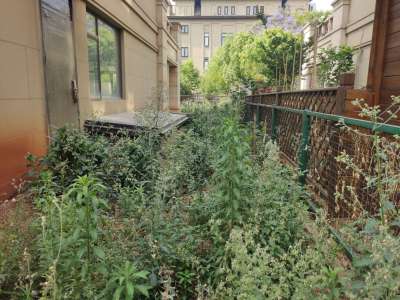 5室2廳2陽(yáng)臺(tái) 綠地海珀瀾庭別墅餐廳