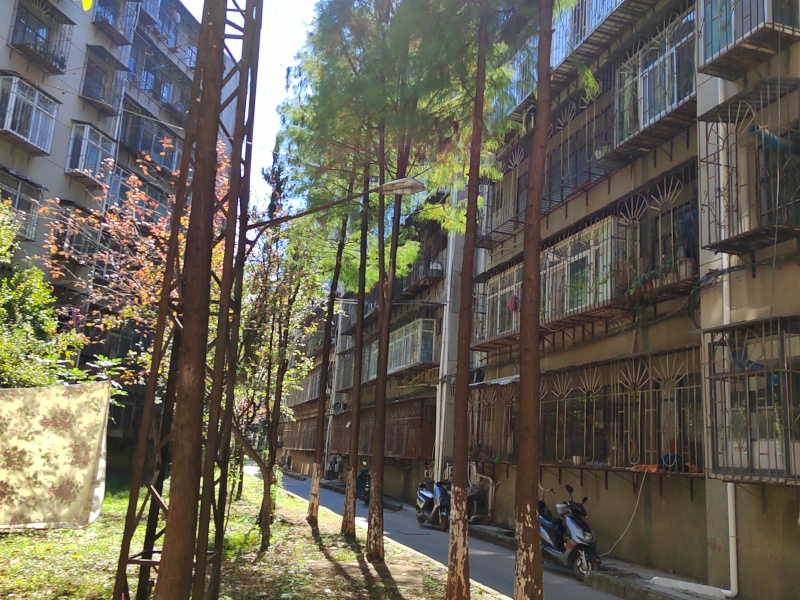 马洒营社区其他