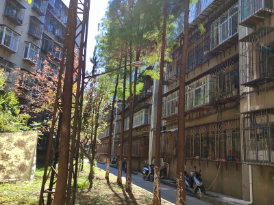 3室1廳1陽臺(tái) 馬灑營社區(qū)