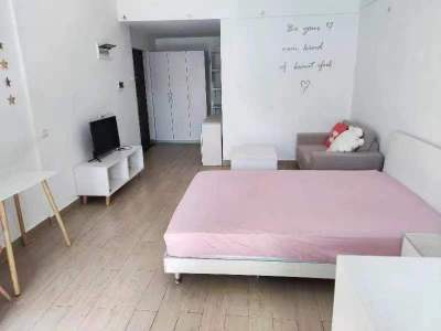 1室1廳 風(fēng)尚城市派