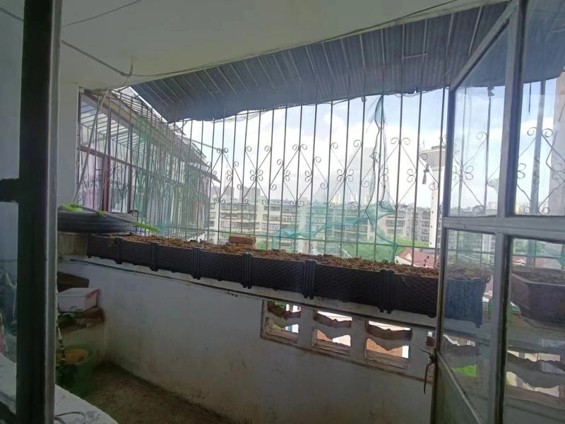 2室2廳2陽臺 東華小區(qū)陽臺