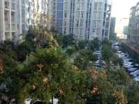 1室1廳1陽臺(tái) 86街公寓U2其他