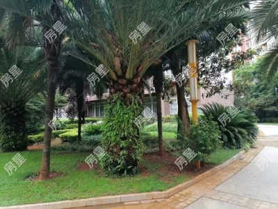 3室2廳2陽臺 湖畔之夢