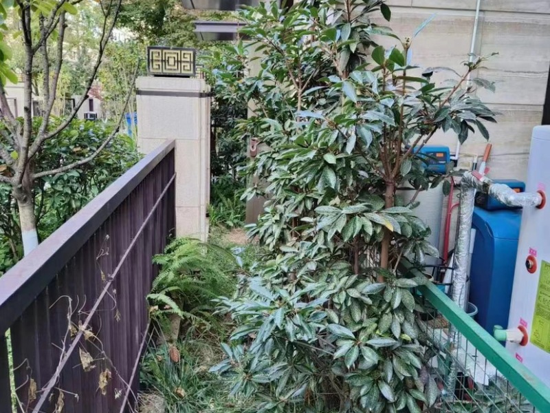 4室2廳3陽(yáng)臺(tái) 綠地海珀瀾庭別墅自家花園