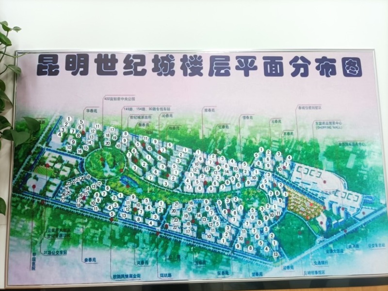 3室2廳2陽(yáng)臺(tái) 世紀(jì)城玉春苑小區(qū)平面圖