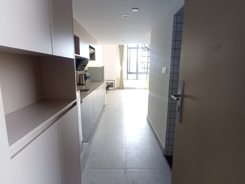 1室1廳 華潤(rùn)悅府二期公寓客廳