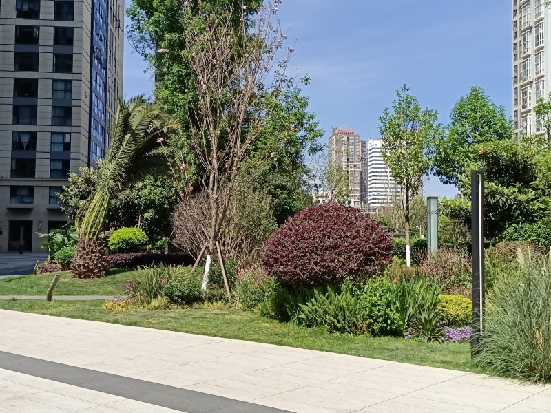 1室1廳1陽臺 七彩之門自家花園