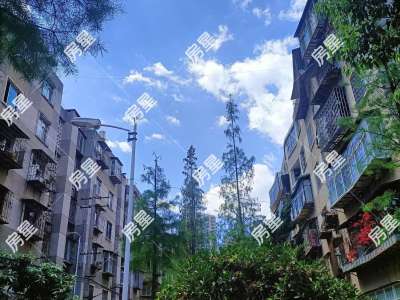 3室1廳1陽臺 馬灑營社區(qū)