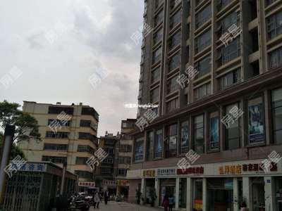 1室2廳1陽臺 上海沙龍