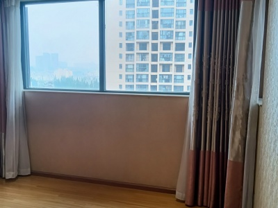 3室2廳1陽(yáng)臺(tái) 南亞未來(lái)城