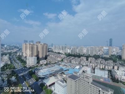 3室2廳 碧桂園龍騰世家一期
