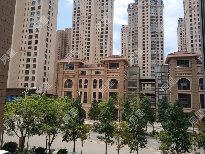 5室2廳3陽臺 中鐵水岸青城A1地塊別墅其他