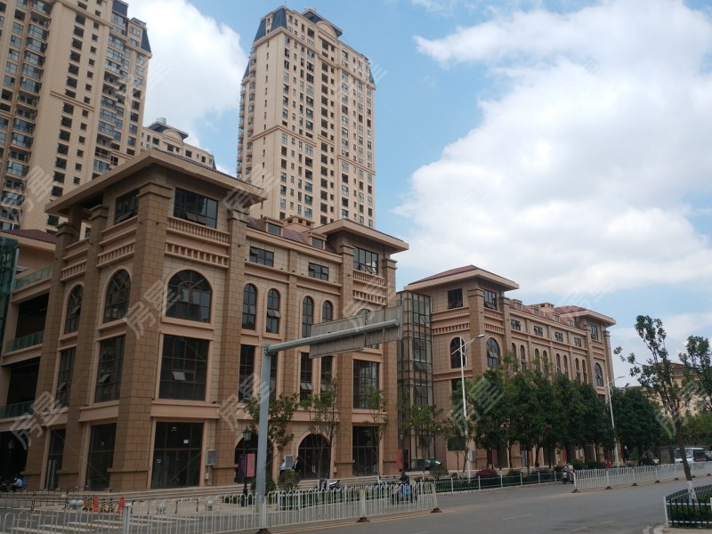 中铁水岸青城A1地块其他