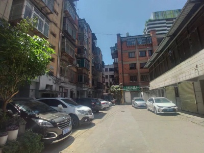 3室2廳1陽(yáng)臺(tái) 和平新村3號(hào)