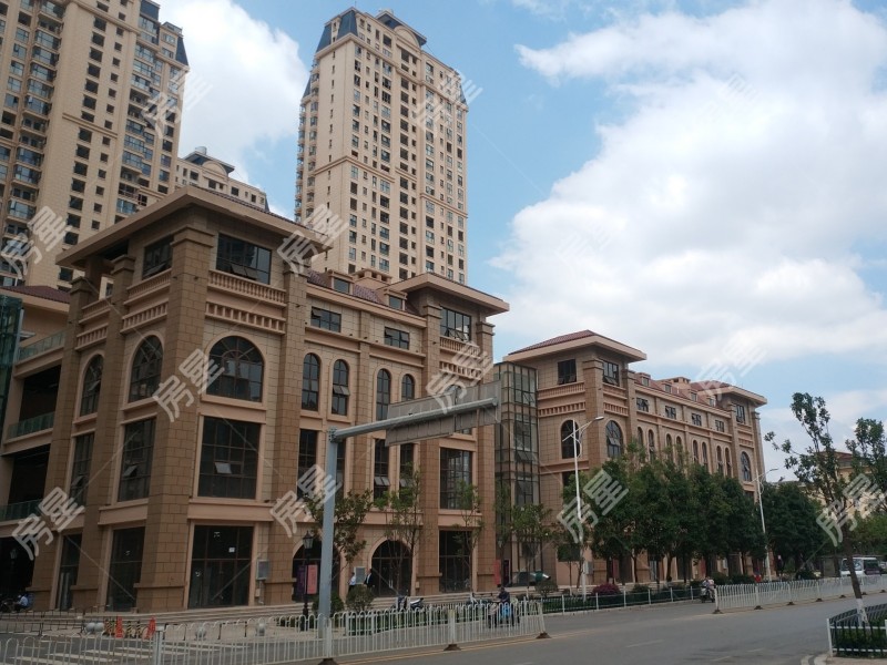 中铁水岸青城A1地块其他