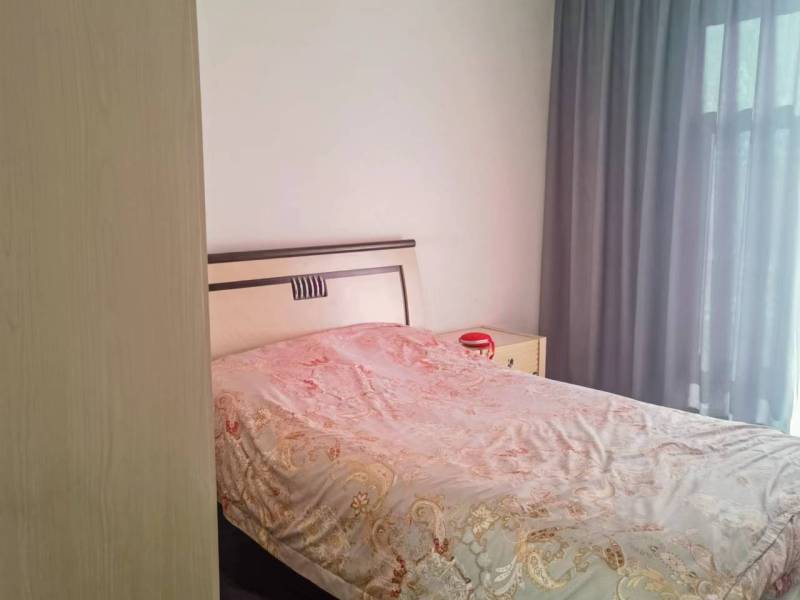 5室2廳3陽(yáng)臺(tái) 西麗園其他