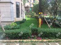 5室2廳3陽臺 中鐵水岸青城A1地塊別墅其他