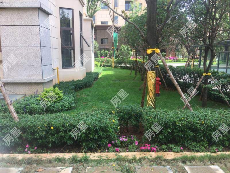 5室2廳3陽臺 中鐵水岸青城A1地塊別墅其他