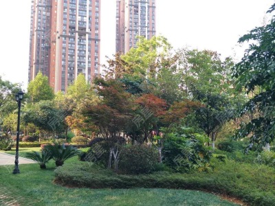 2室2廳1陽(yáng)臺(tái) 紅星國(guó)際紫郡