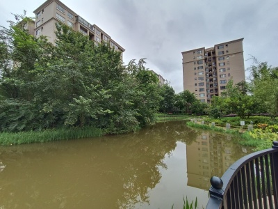 3室2廳3陽臺 西南海F地塊