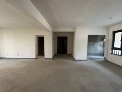 4室2廳2陽臺 金科江湖海