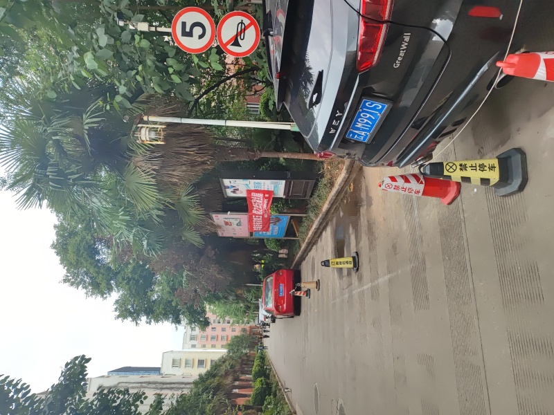 金顺苑自家花园