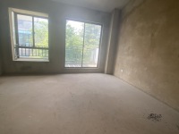 5室3廳3陽臺 城市山別墅客廳