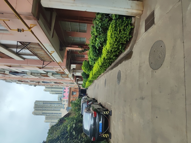 金顺苑自家花园
