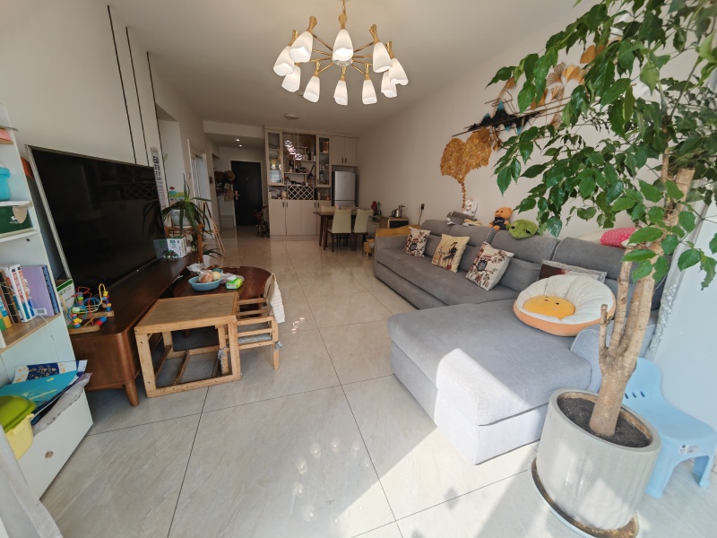 3室2廳2陽(yáng)臺(tái) 金科陽(yáng)光里客廳