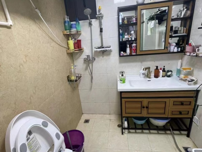 2室1廳1陽臺 中房路易公元衛(wèi)生間