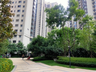 3室1廳1陽臺 金地九樾